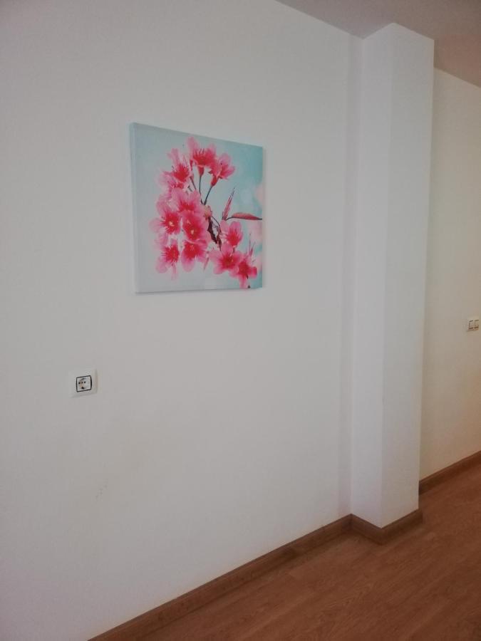 Apartamento En Primera Linea De Vera Playa Naturista! ภายนอก รูปภาพ